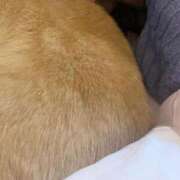 ヒメ日記 2025/11/12 08:05 投稿 よね 熟女の風俗最終章 仙台店