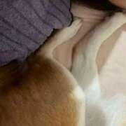 ヒメ日記 2025/11/19 06:54 投稿 よね 熟女の風俗最終章 仙台店