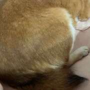 ヒメ日記 2025/11/20 07:24 投稿 よね 熟女の風俗最終章 仙台店