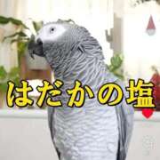 よね www 熟女の風俗最終章 仙台店