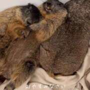 ヒメ日記 2025/12/07 23:34 投稿 よね 熟女の風俗最終章 仙台店