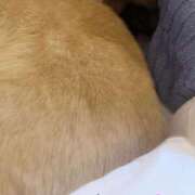 ヒメ日記 2025/12/11 08:54 投稿 よね 熟女の風俗最終章 仙台店