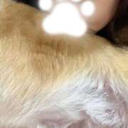 ヒメ日記 2025/12/17 06:24 投稿 よね 熟女の風俗最終章 仙台店