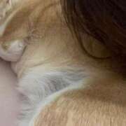 ヒメ日記 2025/12/23 07:14 投稿 よね 熟女の風俗最終章 仙台店