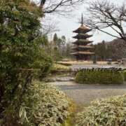 ヒメ日記 2025/12/24 12:04 投稿 よね 熟女の風俗最終章 仙台店