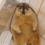 ヒメ日記 2025/12/29 20:50 投稿 よね 熟女の風俗最終章 仙台店