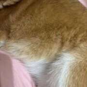 ヒメ日記 2026/01/04 08:04 投稿 よね 熟女の風俗最終章 仙台店