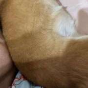 ヒメ日記 2026/01/09 06:14 投稿 よね 熟女の風俗最終章 仙台店