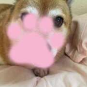 ヒメ日記 2026/01/15 22:34 投稿 よね 熟女の風俗最終章 仙台店