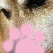 ヒメ日記 2026/01/16 13:34 投稿 よね 熟女の風俗最終章 仙台店