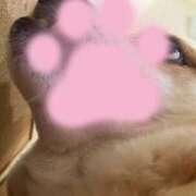 よね おはよー🤗 熟女の風俗最終章 仙台店