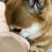 ヒメ日記 2026/02/02 22:06 投稿 よね 熟女の風俗最終章 仙台店