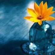 ヒメ日記 2026/02/03 11:44 投稿 よね 熟女の風俗最終章 仙台店