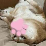 ヒメ日記 2026/02/03 18:43 投稿 よね 熟女の風俗最終章 仙台店