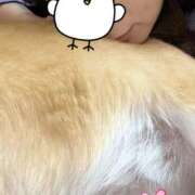 ヒメ日記 2026/02/20 06:54 投稿 よね 熟女の風俗最終章 仙台店