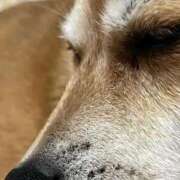 ヒメ日記 2026/03/06 07:45 投稿 よね 熟女の風俗最終章 仙台店