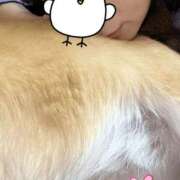 ヒメ日記 2026/03/10 07:34 投稿 よね 熟女の風俗最終章 仙台店