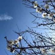 ヒメ日記 2026/03/15 11:54 投稿 よね 熟女の風俗最終章 仙台店