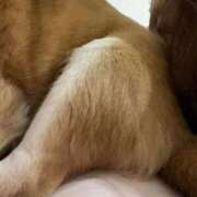 ヒメ日記 2026/03/17 06:34 投稿 よね 熟女の風俗最終章 仙台店