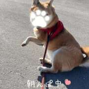 ヒメ日記 2026/03/17 08:34 投稿 よね 熟女の風俗最終章 仙台店