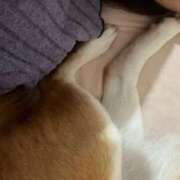 ヒメ日記 2026/03/18 07:46 投稿 よね 熟女の風俗最終章 仙台店