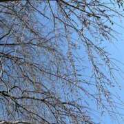 ヒメ日記 2026/03/23 13:40 投稿 よね 熟女の風俗最終章 仙台店