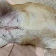 ヒメ日記 2026/03/25 22:27 投稿 よね 熟女の風俗最終章 仙台店