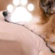 ヒメ日記 2026/03/30 20:18 投稿 よね 熟女の風俗最終章 仙台店