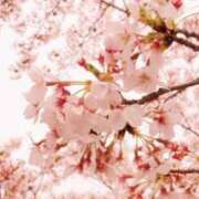 ヒメ日記 2026/03/30 22:20 投稿 よね 熟女の風俗最終章 仙台店