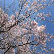 ヒメ日記 2026/04/10 12:04 投稿 よね 熟女の風俗最終章 仙台店