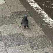 ヒメ日記 2026/04/15 10:26 投稿 よね 熟女の風俗最終章 仙台店