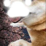 ヒメ日記 2026/04/17 22:34 投稿 よね 熟女の風俗最終章 仙台店