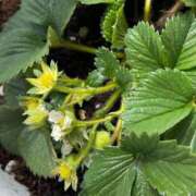 ヒメ日記 2026/04/18 13:12 投稿 よね 熟女の風俗最終章 仙台店