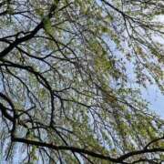 ヒメ日記 2026/04/22 11:54 投稿 よね 熟女の風俗最終章 仙台店