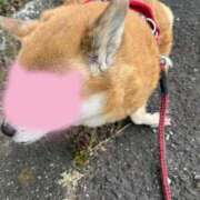 ヒメ日記 2026/06/02 08:24 投稿 よね 熟女の風俗最終章 仙台店