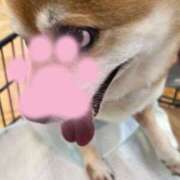 ヒメ日記 2026/06/20 12:04 投稿 よね 熟女の風俗最終章 仙台店