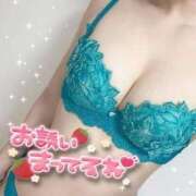 ヒメ日記 2026/04/07 12:16 投稿 優香【ゆうか】 ギャルズネットワークネクスト 京都