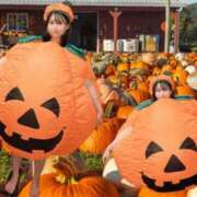 ヒメ日記 2025/10/31 12:35 投稿 MAYOYO GINGIRA☆TOKYO～ギンギラ東京～