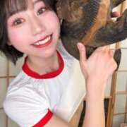 ヒメ日記 2025/12/12 16:04 投稿 MAYOYO GINGIRA☆TOKYO～ギンギラ東京～