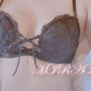 ヒメ日記 2025/12/25 09:01 投稿 未来【みらい】 ギャルズネットワークネクスト 京都