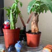 ヒメ日記 2025/10/21 09:33 投稿 ゆら　奥様 SUTEKIな奥様は好きですか?