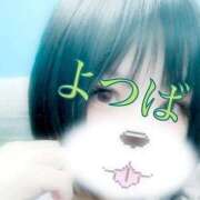 ヒメ日記 2025/10/31 07:03 投稿 よつば ぷよステーション大宮店