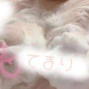 てまり 出勤☀ 錦糸町ちゃんこ