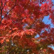 みずき 出勤します &#x1F341;&#x1F986;&#x2728; 花嫁気分相馬・南相馬店
