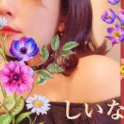 ヒメ日記 2025/10/17 10:22 投稿 しいな 西船人妻花壇