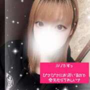 るり お久しぶりのルリちゃんでち🫶🏻💕︎︎ ミセス ファースト -お姉さん・若妻専門店-