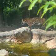 ヒメ日記 2025/10/06 21:28 投稿 りみ 柏人妻花壇