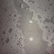 ヒメ日記 2026/01/27 22:17 投稿 りな★完未！潮吹き確定の超新星 Chloe鶯谷・上野店 S級素人清楚系デリヘル