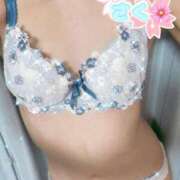 ヒメ日記 2025/10/12 22:33 投稿 さく 吉祥寺大人めシンデレラ（シンデレラグループ）