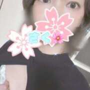 ヒメ日記 2025/11/17 20:13 投稿 さく 吉祥寺大人めシンデレラ（シンデレラグループ）